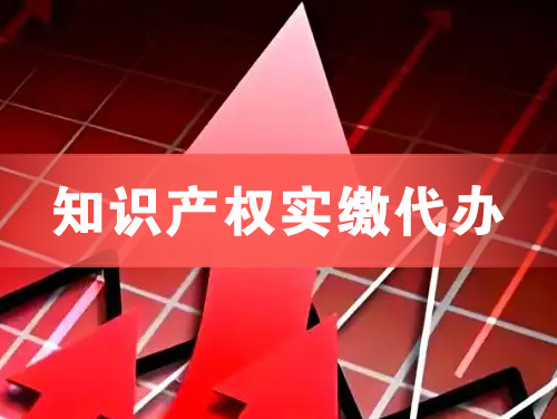 阿克苏知识产权实缴资本代办